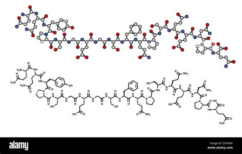 Deamidated gliadin peptide test