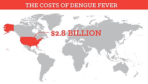 Dengue Fever Economic Impact