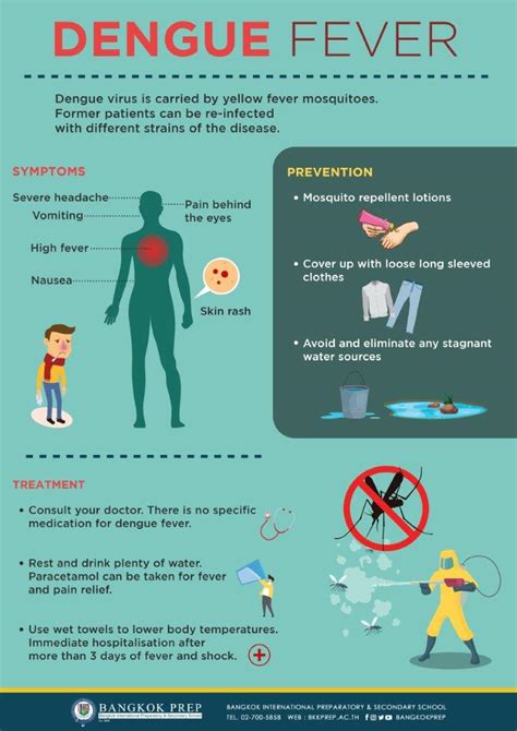 Dengue Fever Public Awareness