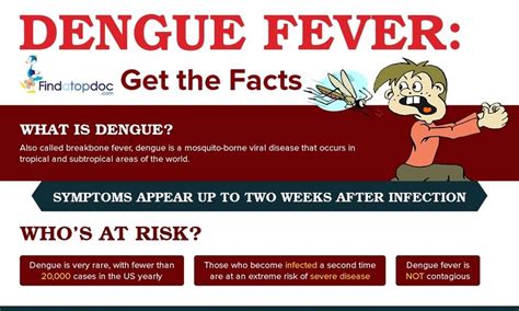 Dengue Fever Treatment