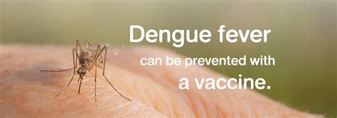 Dengue Fever Vaccination