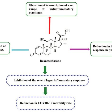 Dexamethasone Mechanism of Action