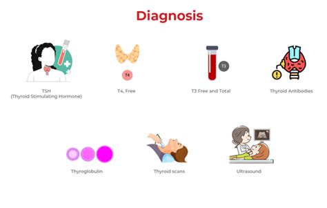 Diagnosing Thyroid Disorders