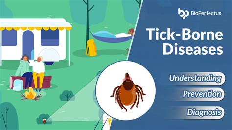 diagnosing tick-borne diseases