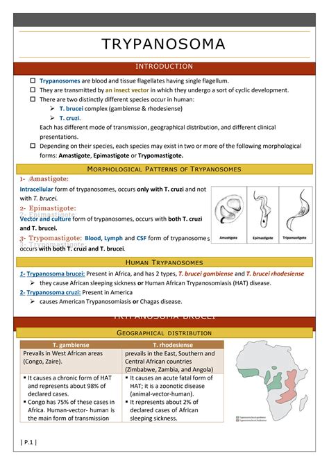 Diagnosis of Groin Pull Symptoms