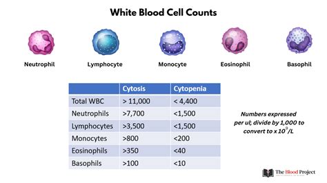 diagnosis of leukocyte count