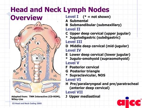 Diagnosis Of Nodes In The Neck