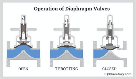 types of diaphragms