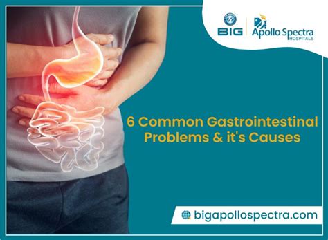 Digestive Issues