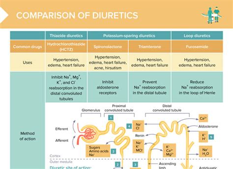 diuretics work