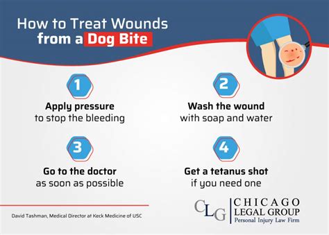 dog bite wound care