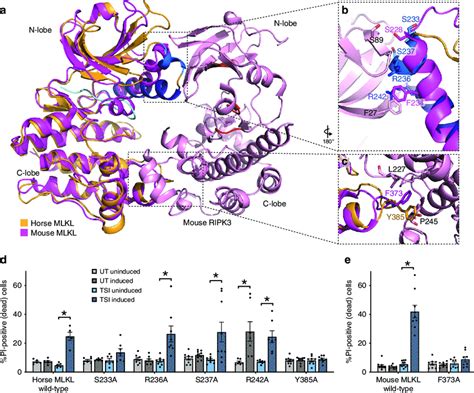engagement and call to action for doxycycline content