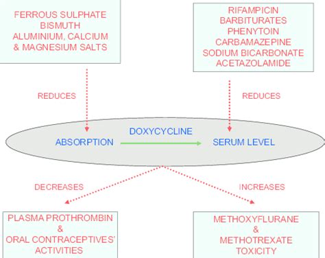 Doxycycline Interactions
