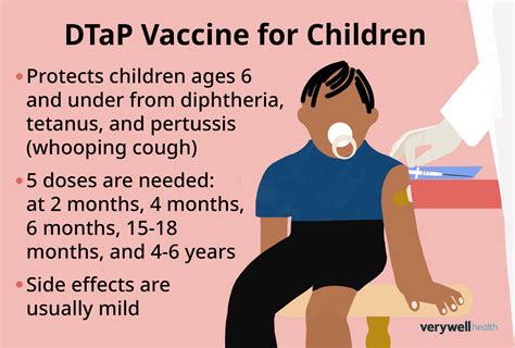 DTaP vaccine mechanism