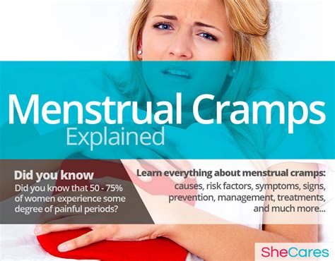 Dull Menstrual Cramps