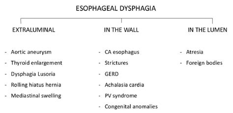 Dysphagia Causes
