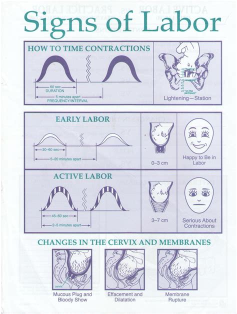 early labor