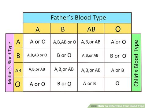 Easily Determine Your Blood Type at Home