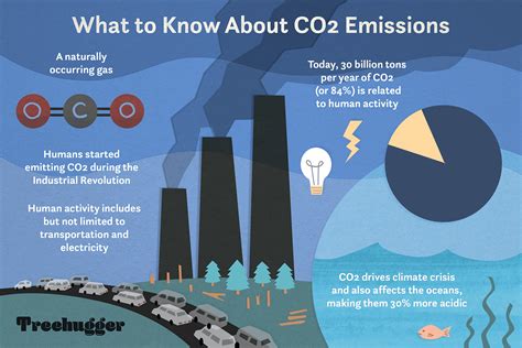 Effects of Low Co2 Levels on the Environment