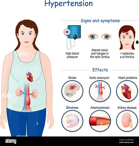 Effects of High Blood Pressure on the Body