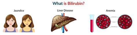 effects of low bilirubin