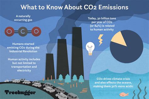 Effects of Low Carbon Dioxide Levels in Blood