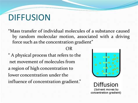 Effusion in Biological Systems