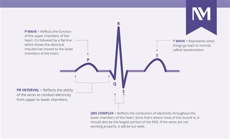 Impact of EKG on Patient Care