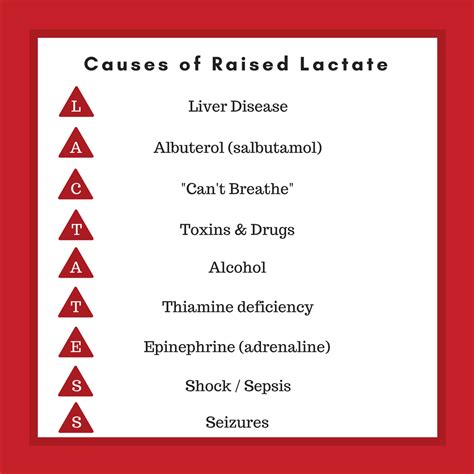 Elevated Lactic Acid Causes