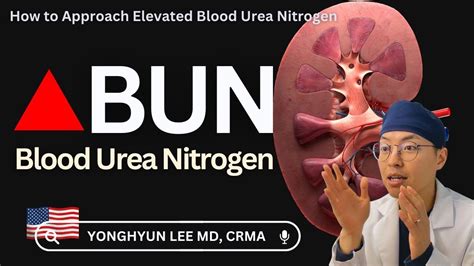 Elevated Nitrogen in Blood Levels Symptoms