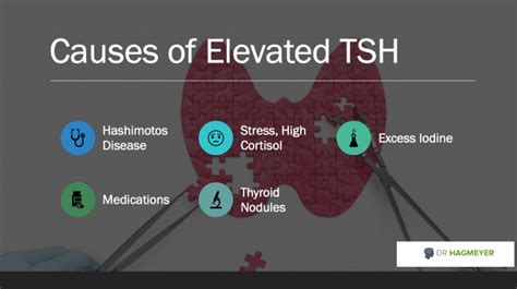 Elevated TSH Causes