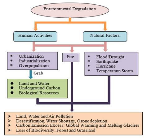 Environmental Causes