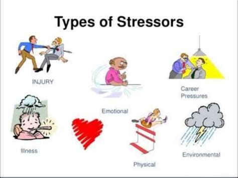 Environmental stressors and well-being