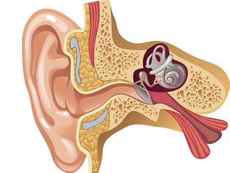 Eustachian tube dysfunction