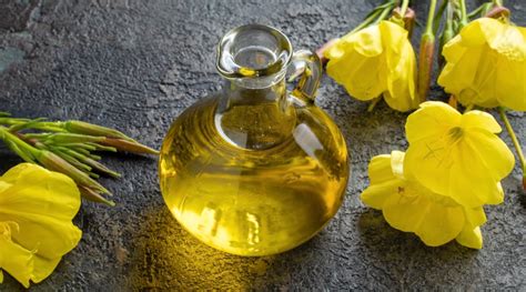 evening primrose oil conclusion