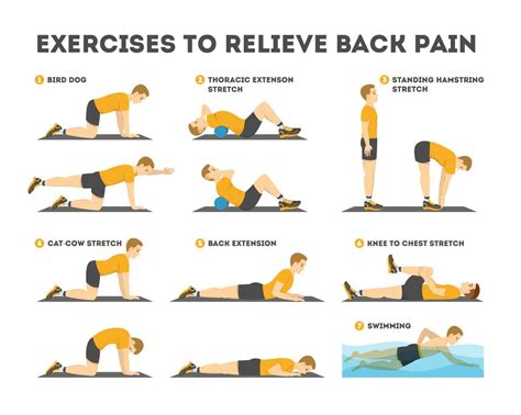 Exercise and Back Pain
