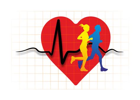 Exercise and Heart Health