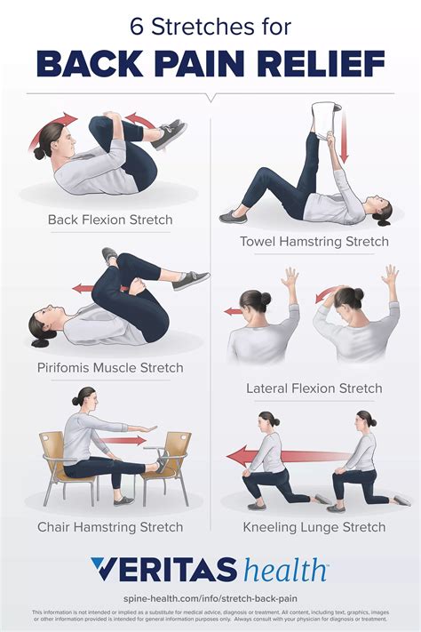 exercise and stretching for back muscle pain