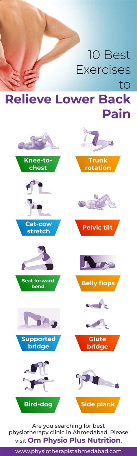 exercises for back pain