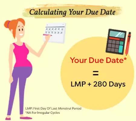 Expected Date Calculator and Pregnancy Tracking