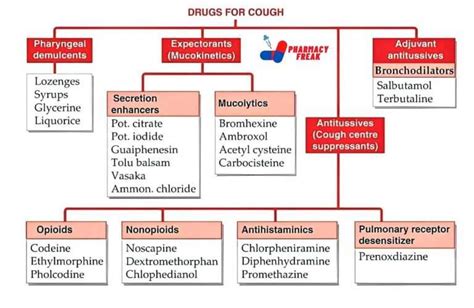 expectorant cough medicine types