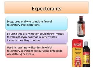 expectorants and other medications
