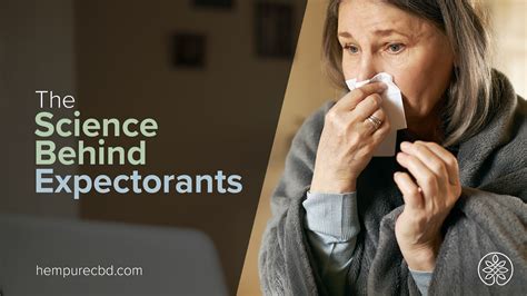 expectorants work