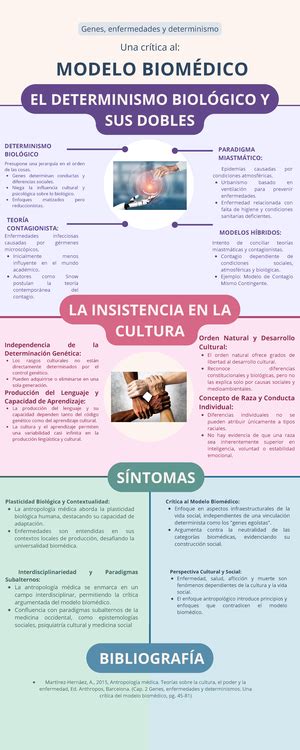 factors