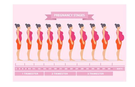 factors that can influence due date accuracy