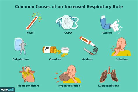Factors that Influence Normal Respiration