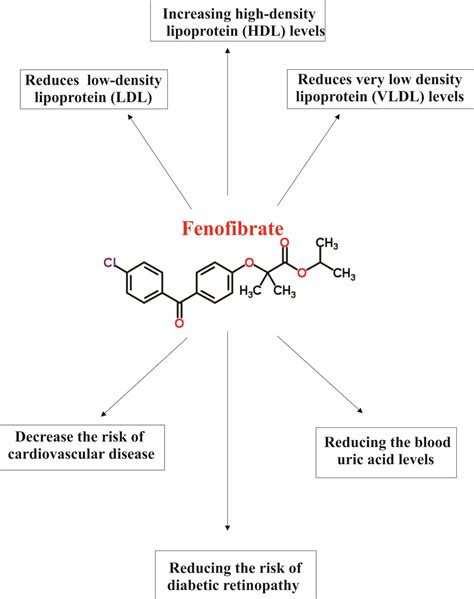 Fenofibrate and Drug Interactions