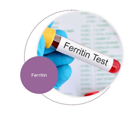 Ferritin molecule