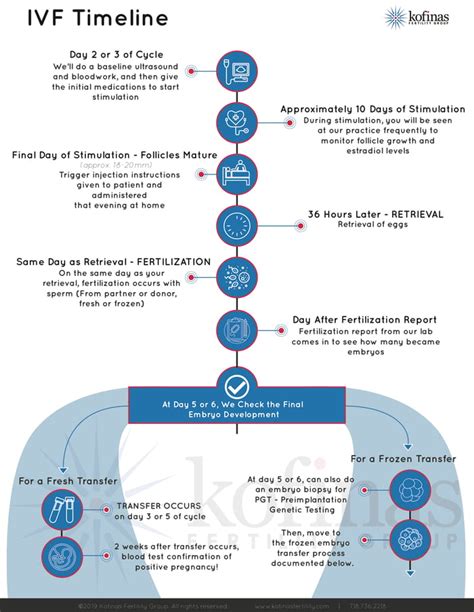 Fertility Next Steps