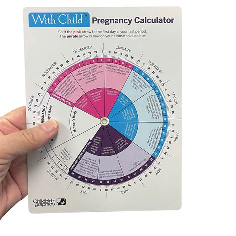Fetal development calculation